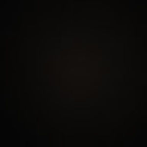 Meet your Posher, Zev